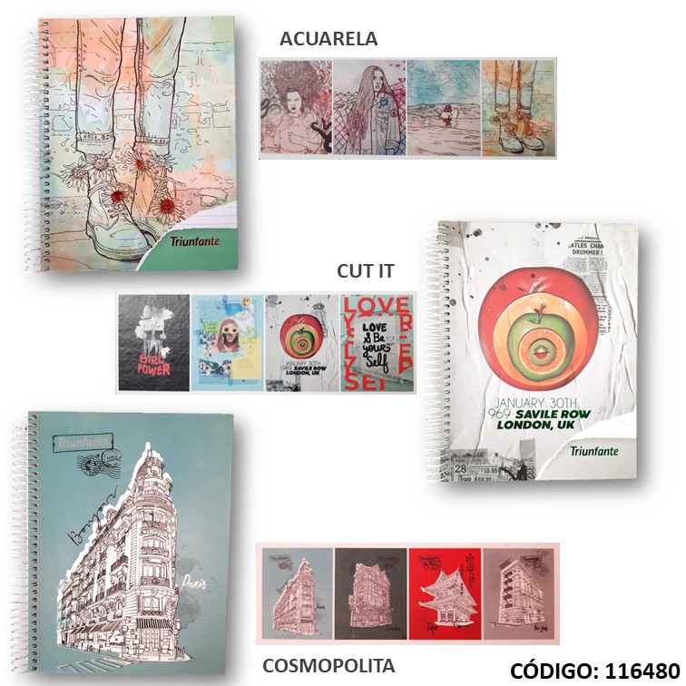Cuaderno t/e 16x21 t/d triunfante 120h