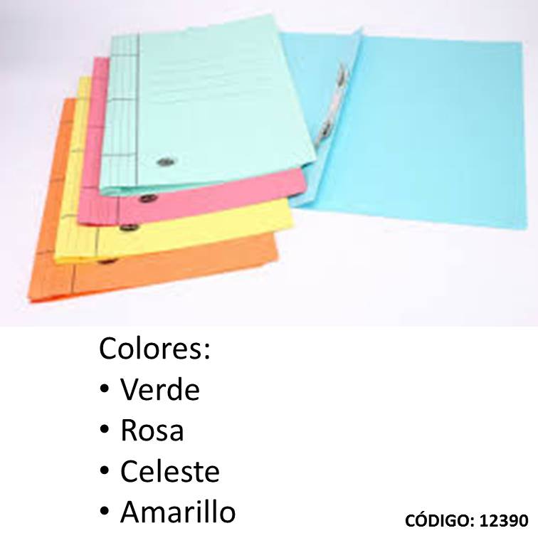 Carpeta cartul. iral oficio f55 colores