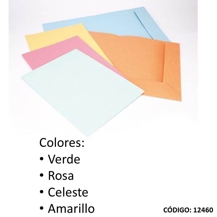 Carpeta cartul. 2 solapas a4