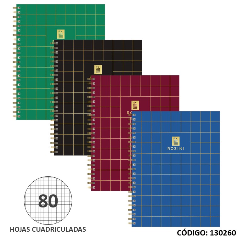 Cuaderno t/e 16x21 t/d rozini affari x80h