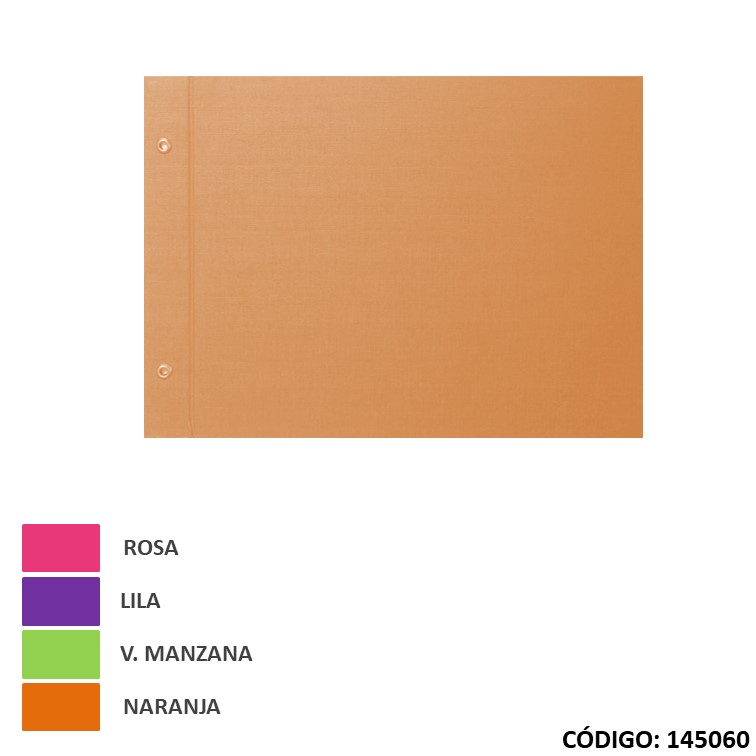 Carpeta ap cartone color