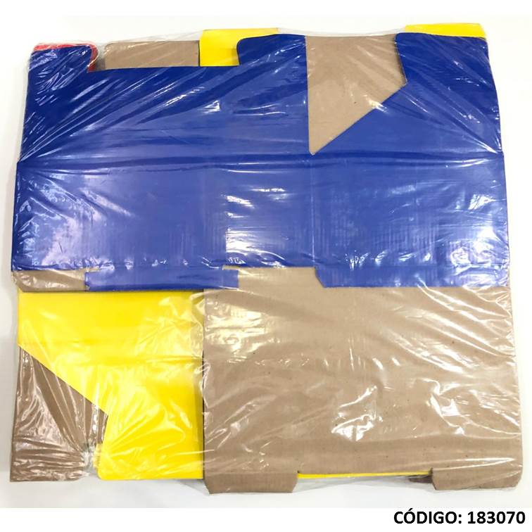 Caja zapato plastificada color