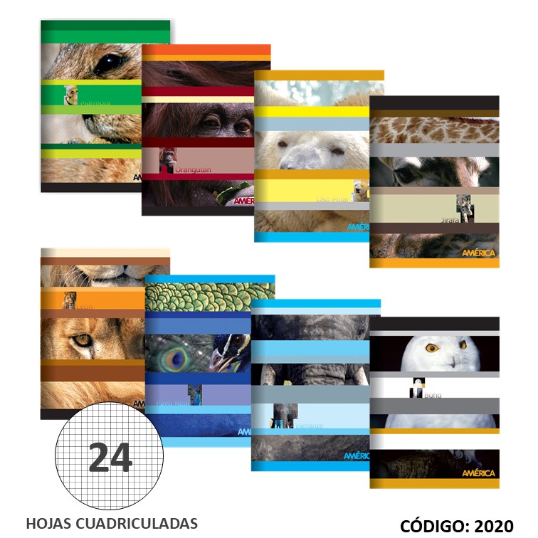 Cuaderno t/b america x24h
