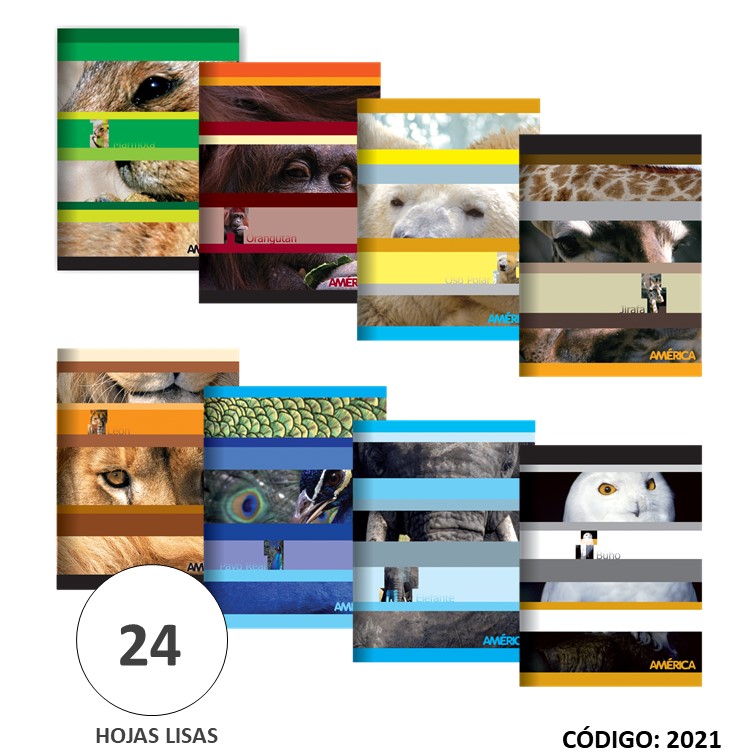 Cuaderno t/b america liso x24h