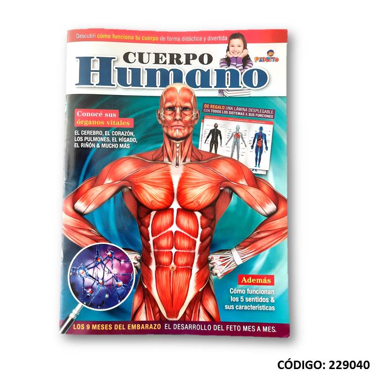 Libro dida cuerpo humano -170