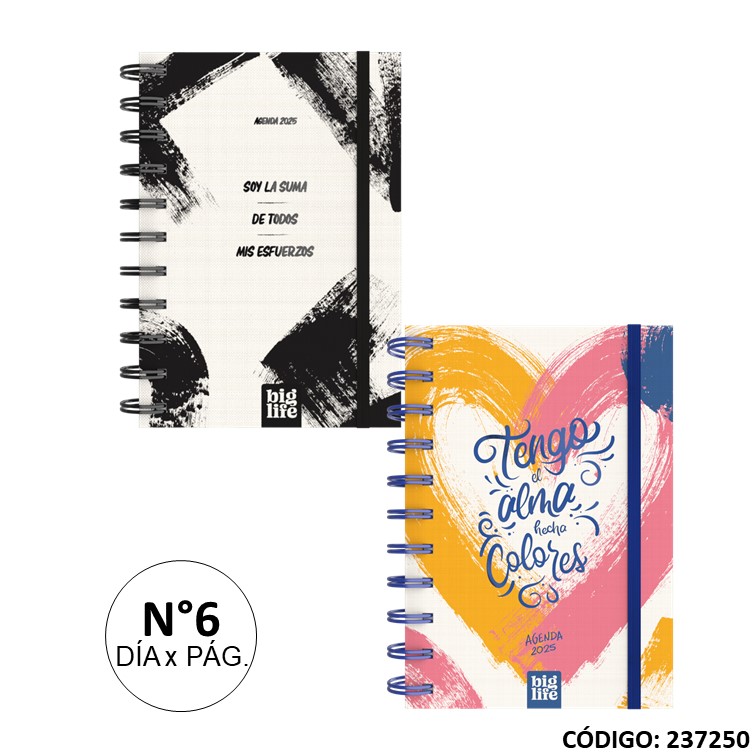 Agenda big life n6 . con doble planificador arte 10x15cm