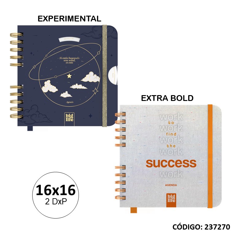 Agenda big life 16x16 . 2con doble planificador perpetua