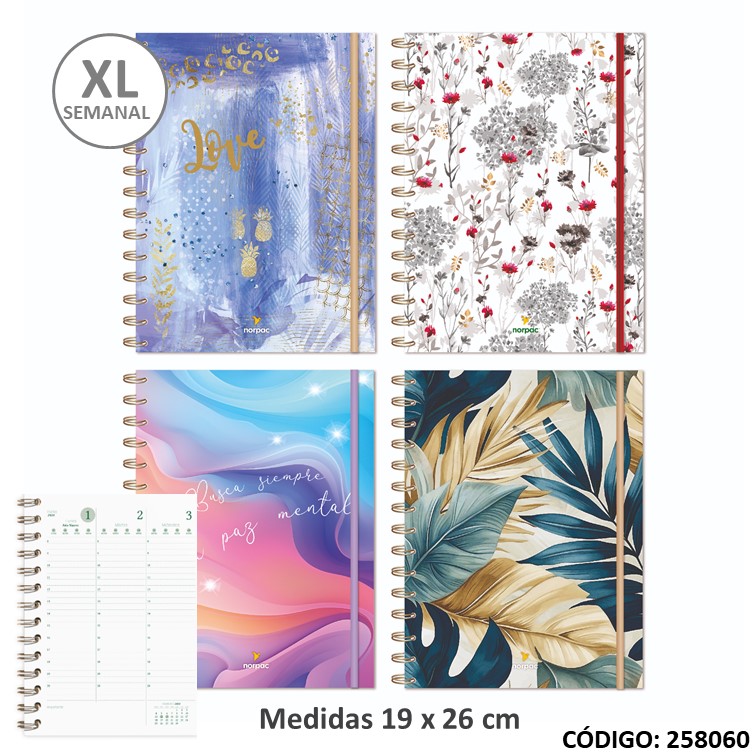 Agenda norpac xl sem iral cartone fantasia