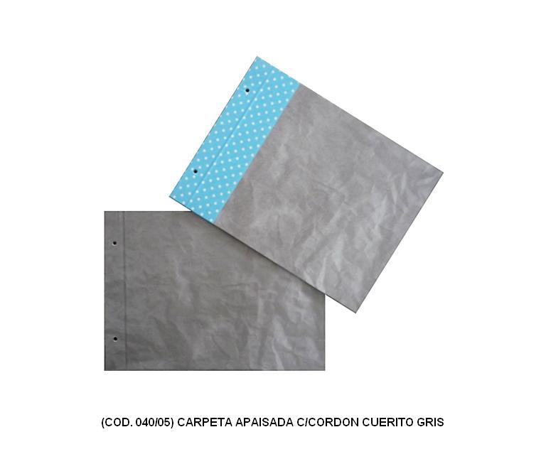 Carpeta ap cuerito gris