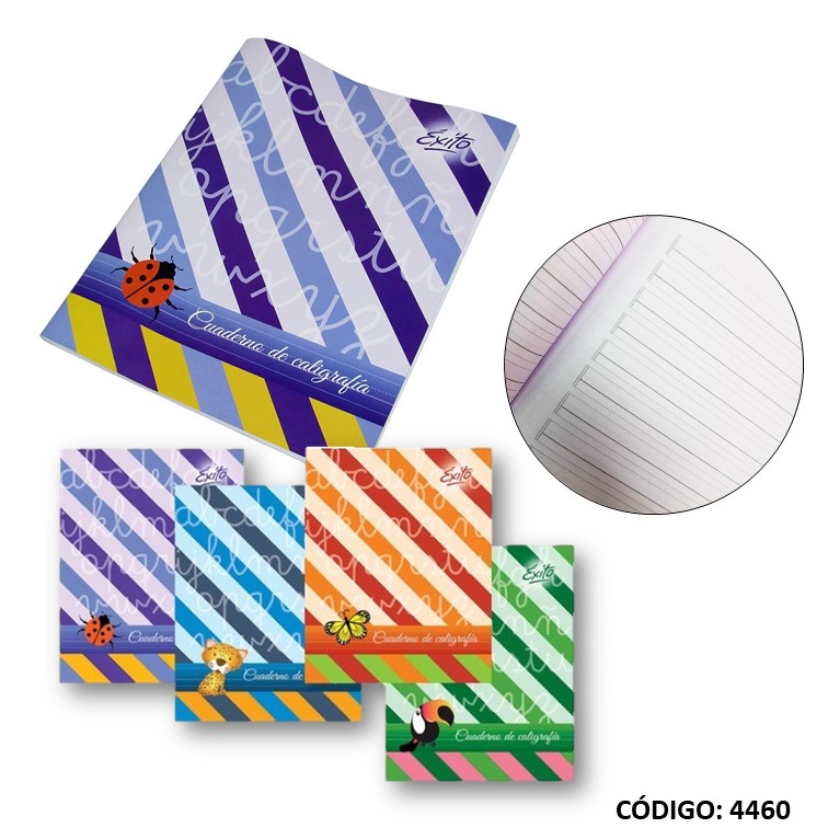 Cuaderno t/b exito caligrafia x24h