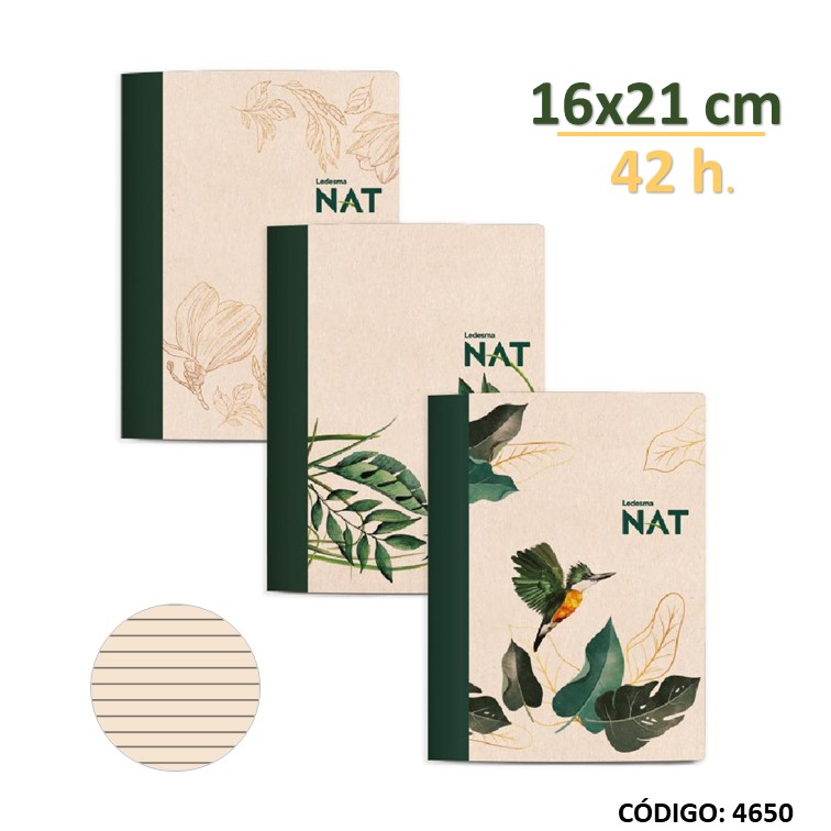 Cuaderno t/b ledesma nat x42h