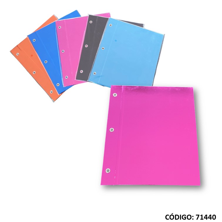 Carpeta n3 cartone rexon metalic/holo